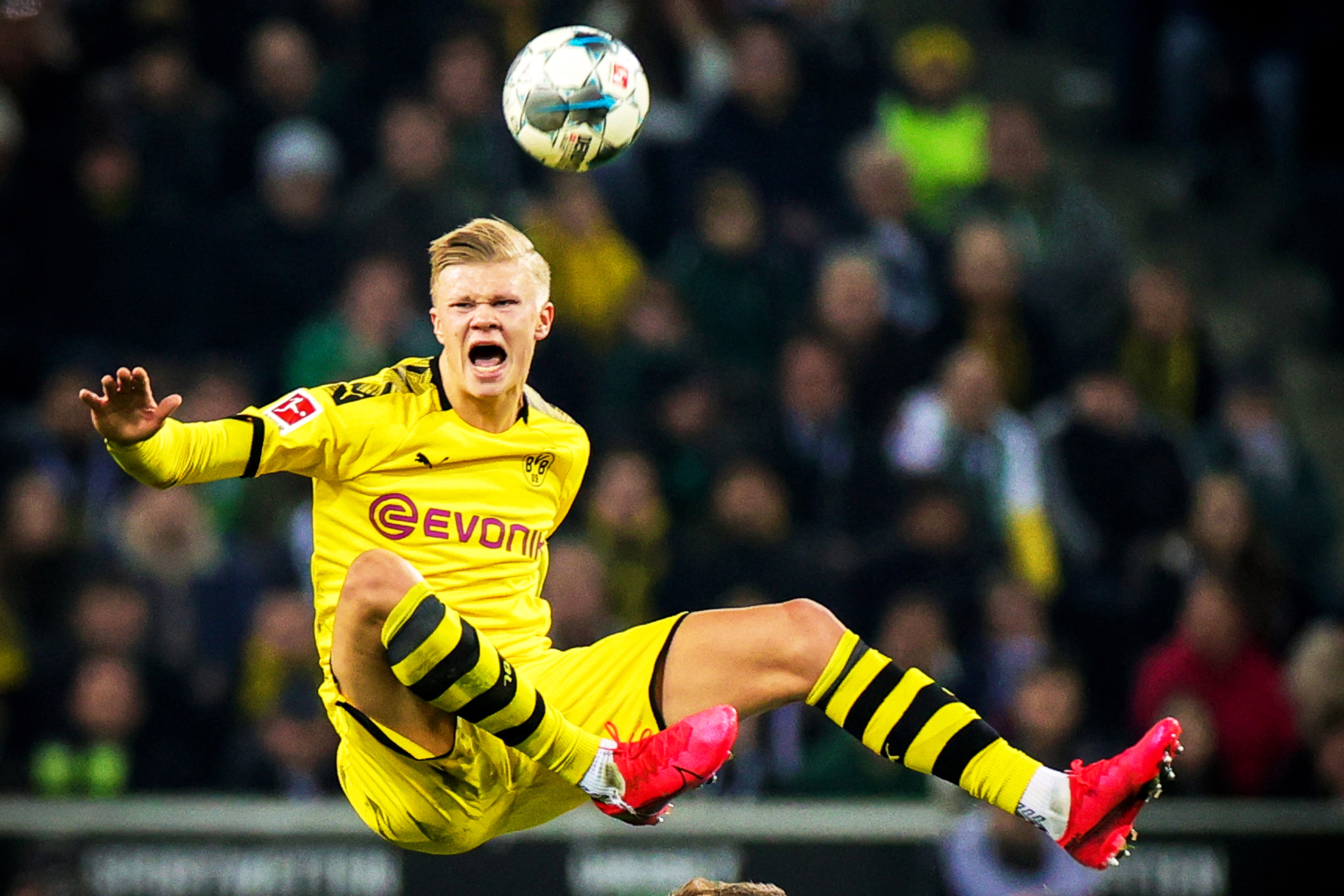 的转述不应 的转述不应