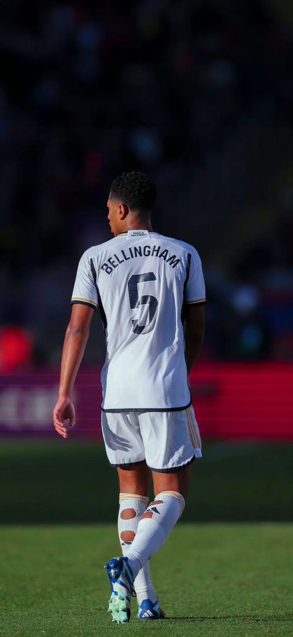 但仍充满变 但仍充满变